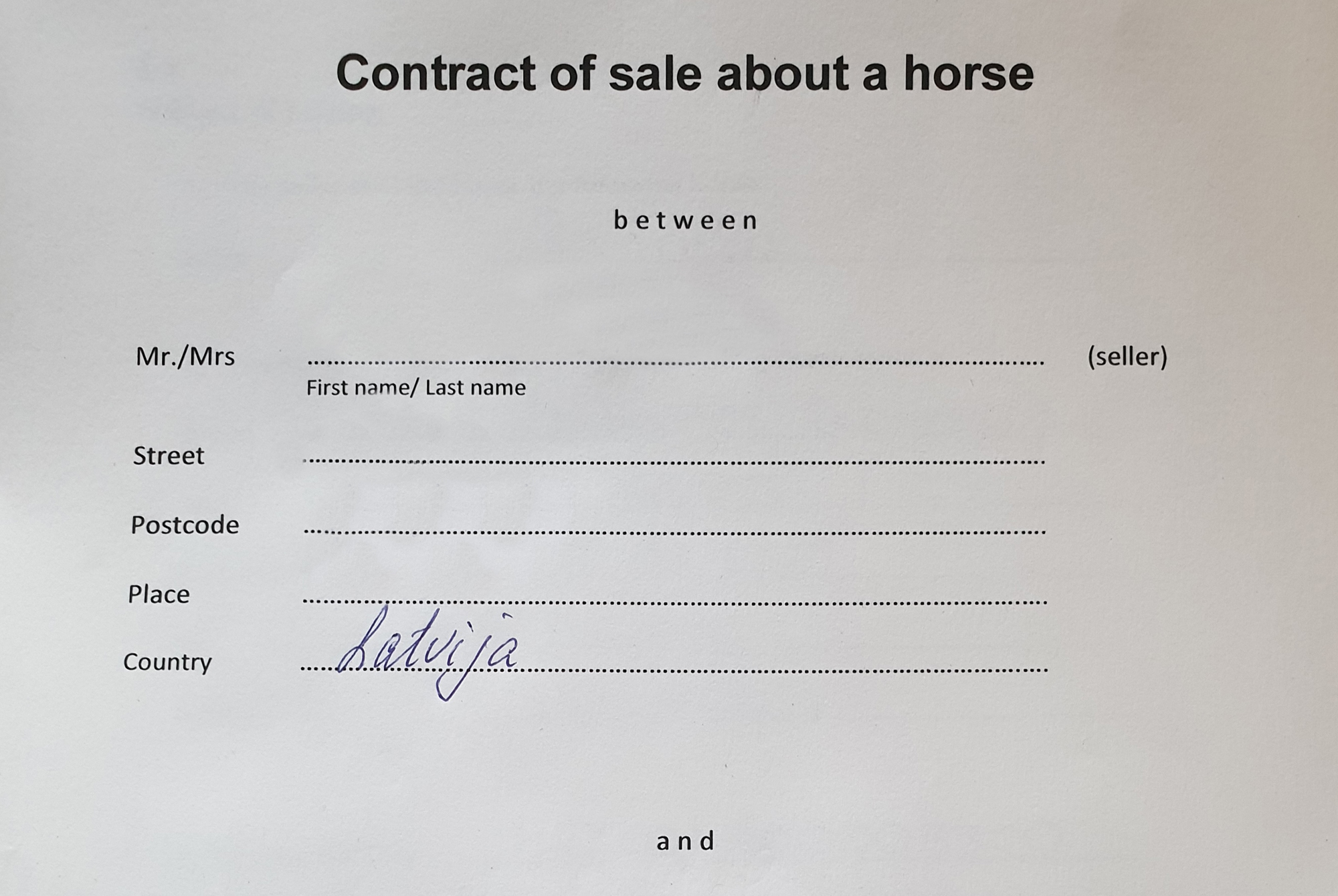 Pferdekaufvertrag Englisch