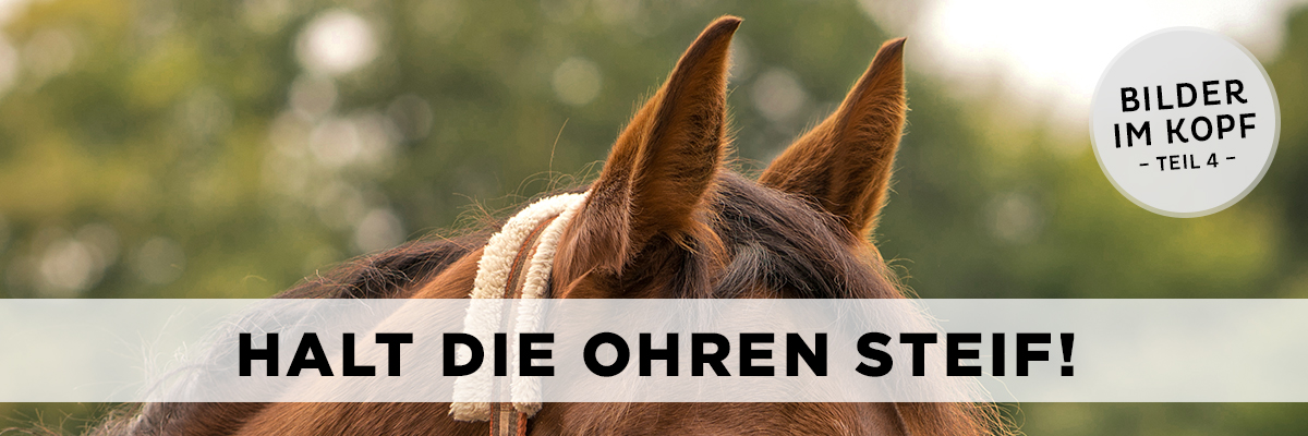 Halt Die Ohren Steif Bedeutung pferdetrends.com