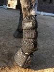 ANKY / Climatrol Dressage Boots Schwarz 