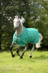 bucas / Freedom Turnout Pine Green-Silver