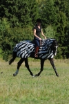 bucas / Buzz-Off Riding Zebra