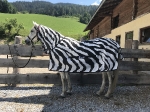 bucas / Buzz-Off Zebra Schwarz-Weiß