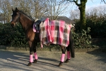 Eskadron / Chocochip-Pink-Creme