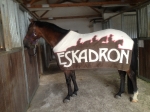 Eskadron / Chocochip-Pink-Creme