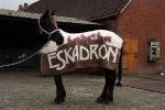 Eskadron / Chocochip-Pink-Creme