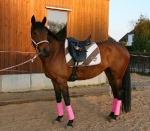 Eskadron / Chocochip-Pink-Creme