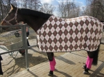Eskadron / Chocochip-Pink-Creme