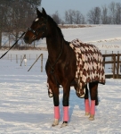 Eskadron / Chocochip-Pink-Creme