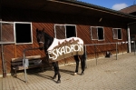 Eskadron / Chocochip-Pink-Creme