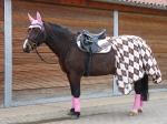Eskadron / Chocochip-Pink-Creme