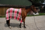 Eskadron / Chocochip-Pink-Creme
