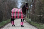 Eskadron / Chocochip-Pink-Creme