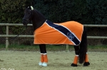 Eskadron / Darknavy-Pink-Smaragdgreen-Orange-White