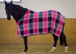 Eskadron / Darknavy-Pink-Smaragdgreen-Orange-White