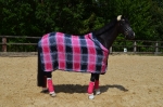 Eskadron / Darknavy-Pink-Smaragdgreen-Orange-White