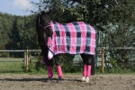 Eskadron / Darknavy-Pink-Smaragdgreen-Orange-White