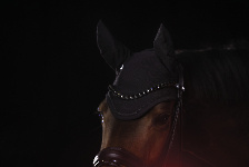 Eskadron / Dynamic Black-Deep Green-Poppy Red-White