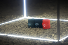 Eskadron / Dynamic Black-Deep Green-Poppy Red-White