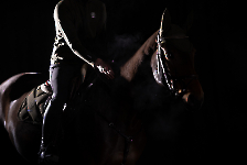 Eskadron / Dynamic Black-Deep Green-Poppy Red-White