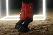 Eskadron / Dynamic Black-Deep Green-Poppy Red-White