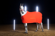 Eskadron / Dynamic Black-Deep Green-Poppy Red-White