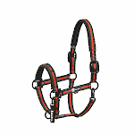 Eskadron / Dynamic Black-Deep Green-Poppy Red-White