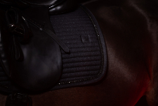 Eskadron / Dynamic Black-Deep Green-Poppy Red-White