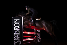 Eskadron / Dynamic Black-Deep Green-Poppy Red-White