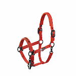 Eskadron / Dynamic Black-Deep Green-Poppy Red-White