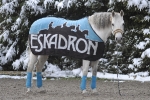 Eskadron / Choco-Petrol-Marone-Creme