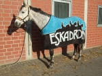 Eskadron / Choco-Petrol-Marone-Creme