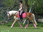 HKM / Kleinstepp Pink