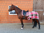 KENTUCKY Horsewear / Velvet Altrosa