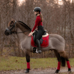 KENTUCKY Horsewear / Velvet Red 