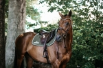 KENTUCKY Horsewear / Saddle Pad Color Edition Jumping Khaki