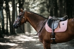 KENTUCKY Horsewear / Saddle Pad Velvet Jumping Old Rose