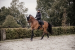 KENTUCKY Horsewear / Skin Friendly Saddle Pad Dressage Black