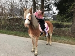 Ponyschwester / Holo Rosa
