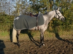 QHP / Ausreitdecke Fleece Ornament Grau-Silber