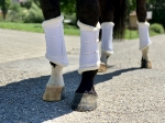 SD Design / Show Collection Dressage Boots White