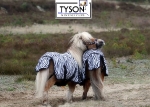 Tyson's Breeches / Outdoordecken