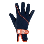 PRO-TEAM / Hickstead