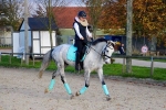 Harrys Horse / Challenge Sparkle