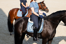 Eskadron Frühjahr/Sommer 2025