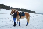 Harrys Horse / RHA Royal 