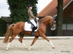 Cavallo / Junior Jump Schwarz