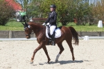 Cavallo / Junior Schwarz