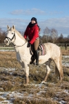 Cavallo / Polar Schwarz