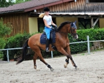 Cavallo / Winner Schwarz